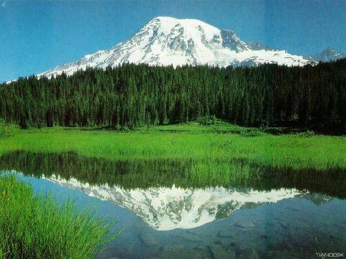 春色漾荡,万物复苏——春色漾荡的美丽画卷